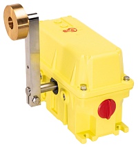 PED