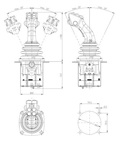 NS3